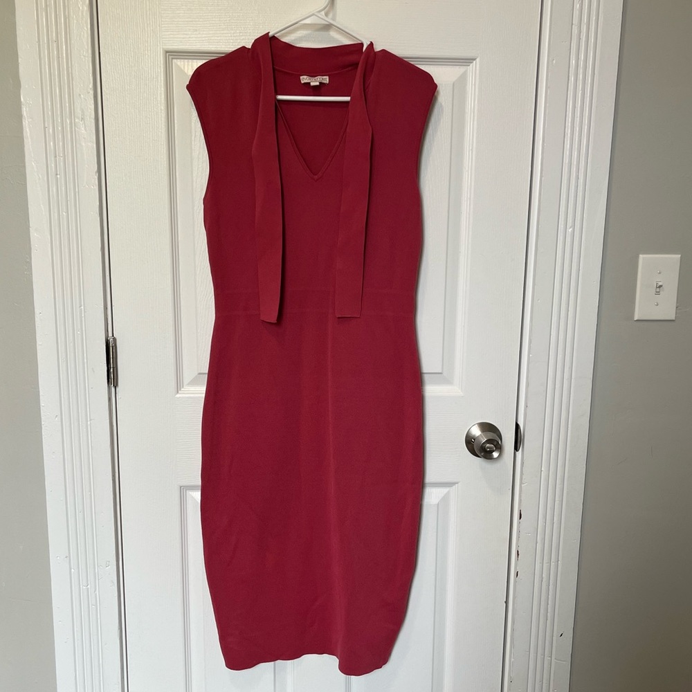 Eva Mendes New York and Co. Bodycon Sweater Dress